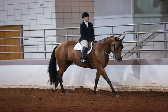 www.ngaphoto.com 2015 Georgia Federation of Saddle Clubs Championship Horse Show