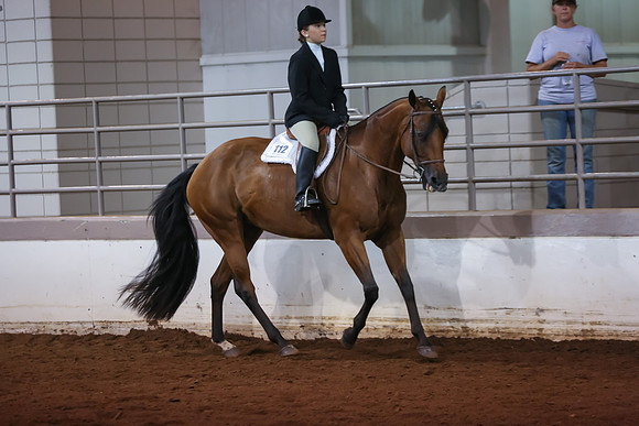www.ngaphoto.com 2015 Georgia Federation of Saddle Clubs Championship Horse Show