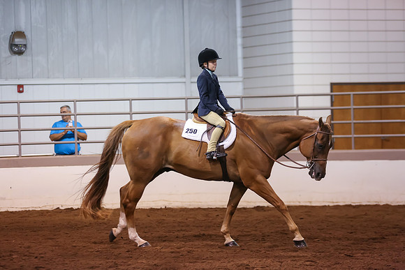 www.ngaphoto.com 2015 Georgia Federation of Saddle Clubs Championship Horse Show