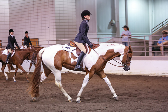 www.ngaphoto.com 2015 Georgia Federation of Saddle Clubs Championship Horse Show
