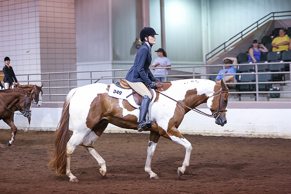 www.ngaphoto.com 2015 Georgia Federation of Saddle Clubs Championship Horse Show