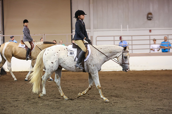 www.ngaphoto.com 2015 Georgia Federation of Saddle Clubs Championship Horse Show