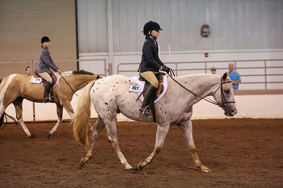 www.ngaphoto.com 2015 Georgia Federation of Saddle Clubs Championship Horse Show