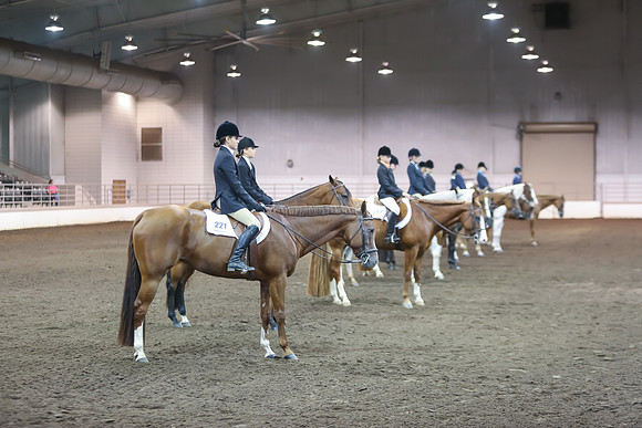 www.ngaphoto.com 2015 Georgia Federation of Saddle Clubs Championship Horse Show