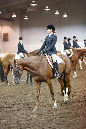 www.ngaphoto.com 2015 Georgia Federation of Saddle Clubs Championship Horse Show
