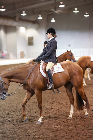 www.ngaphoto.com 2015 Georgia Federation of Saddle Clubs Championship Horse Show