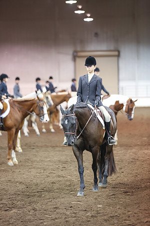 www.ngaphoto.com 2015 Georgia Federation of Saddle Clubs Championship Horse Show