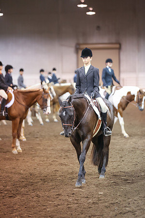 www.ngaphoto.com 2015 Georgia Federation of Saddle Clubs Championship Horse Show
