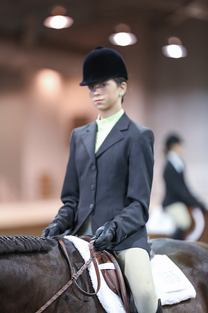www.ngaphoto.com 2015 Georgia Federation of Saddle Clubs Championship Horse Show