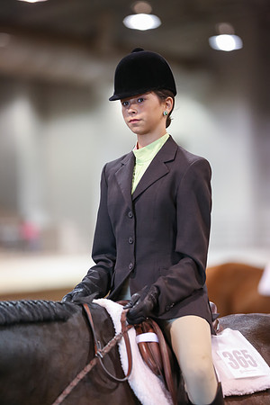 www.ngaphoto.com 2015 Georgia Federation of Saddle Clubs Championship Horse Show