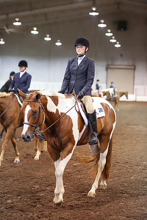 www.ngaphoto.com 2015 Georgia Federation of Saddle Clubs Championship Horse Show