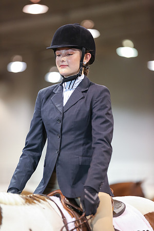 www.ngaphoto.com 2015 Georgia Federation of Saddle Clubs Championship Horse Show