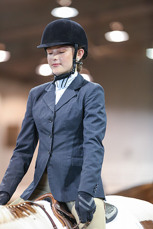 www.ngaphoto.com 2015 Georgia Federation of Saddle Clubs Championship Horse Show