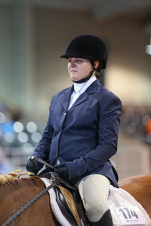www.ngaphoto.com 2015 Georgia Federation of Saddle Clubs Championship Horse Show