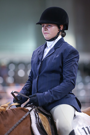 www.ngaphoto.com 2015 Georgia Federation of Saddle Clubs Championship Horse Show