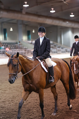 www.ngaphoto.com 2015 Georgia Federation of Saddle Clubs Championship Horse Show