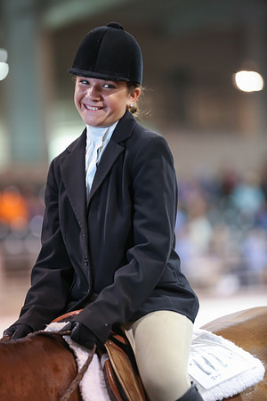 www.ngaphoto.com 2015 Georgia Federation of Saddle Clubs Championship Horse Show