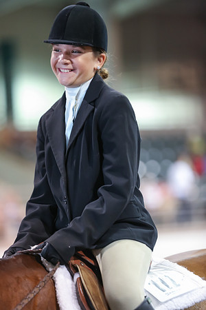 www.ngaphoto.com 2015 Georgia Federation of Saddle Clubs Championship Horse Show