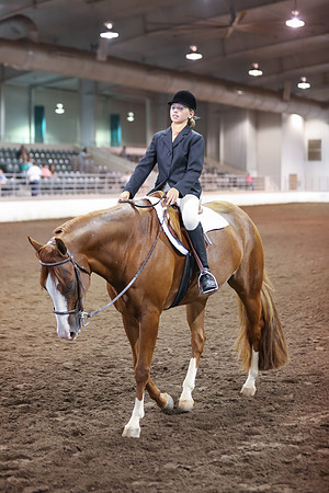 www.ngaphoto.com 2015 Georgia Federation of Saddle Clubs Championship Horse Show
