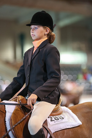 www.ngaphoto.com 2015 Georgia Federation of Saddle Clubs Championship Horse Show