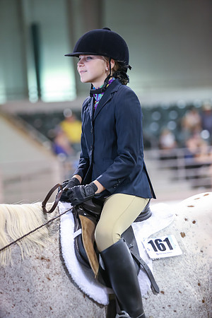 www.ngaphoto.com 2015 Georgia Federation of Saddle Clubs Championship Horse Show