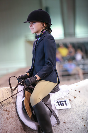 www.ngaphoto.com 2015 Georgia Federation of Saddle Clubs Championship Horse Show