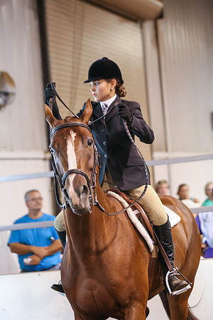 www.ngaphoto.com 2015 Georgia Federation of Saddle Clubs Championship Horse Show