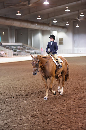 www.ngaphoto.com 2015 Georgia Federation of Saddle Clubs Championship Horse Show