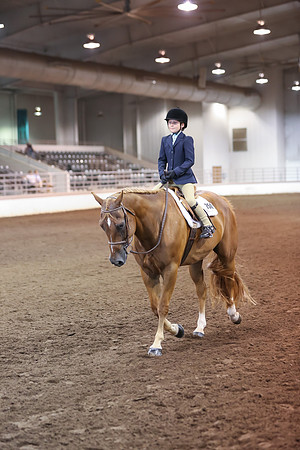 www.ngaphoto.com 2015 Georgia Federation of Saddle Clubs Championship Horse Show