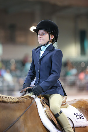 www.ngaphoto.com 2015 Georgia Federation of Saddle Clubs Championship Horse Show