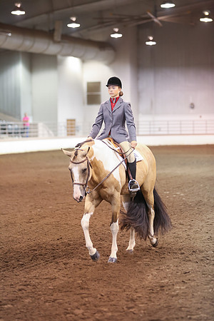 www.ngaphoto.com 2015 Georgia Federation of Saddle Clubs Championship Horse Show