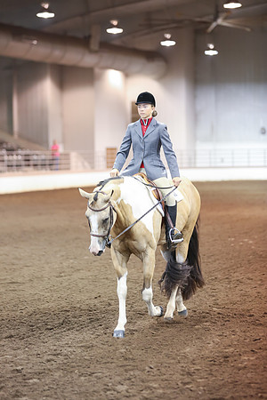 www.ngaphoto.com 2015 Georgia Federation of Saddle Clubs Championship Horse Show