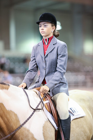 www.ngaphoto.com 2015 Georgia Federation of Saddle Clubs Championship Horse Show
