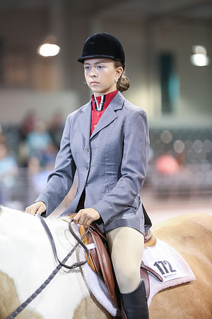 www.ngaphoto.com 2015 Georgia Federation of Saddle Clubs Championship Horse Show