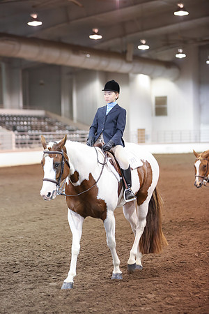 www.ngaphoto.com 2015 Georgia Federation of Saddle Clubs Championship Horse Show