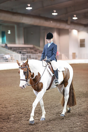www.ngaphoto.com 2015 Georgia Federation of Saddle Clubs Championship Horse Show