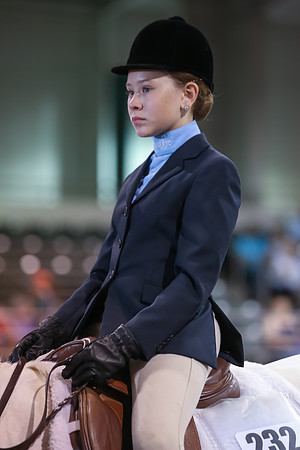 www.ngaphoto.com 2015 Georgia Federation of Saddle Clubs Championship Horse Show