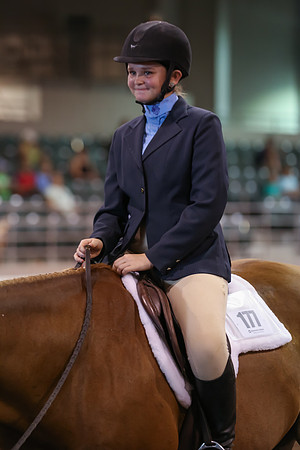 www.ngaphoto.com 2015 Georgia Federation of Saddle Clubs Championship Horse Show
