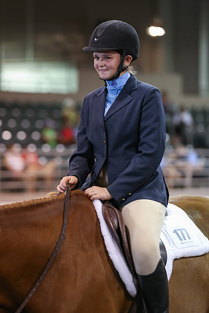www.ngaphoto.com 2015 Georgia Federation of Saddle Clubs Championship Horse Show