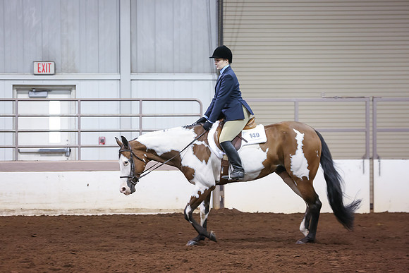 www.ngaphoto.com 2015 Georgia Federation of Saddle Clubs Championship Horse Show