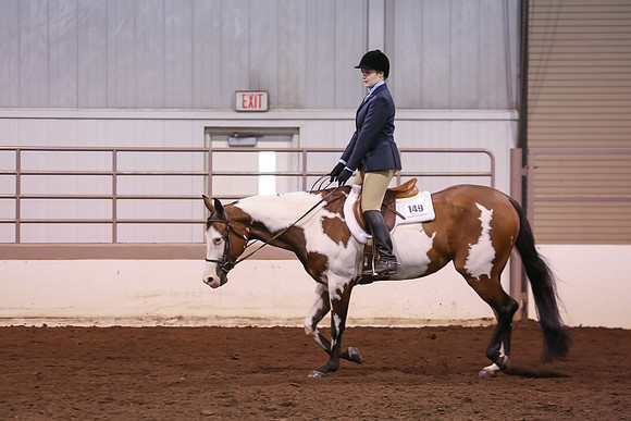 www.ngaphoto.com 2015 Georgia Federation of Saddle Clubs Championship Horse Show