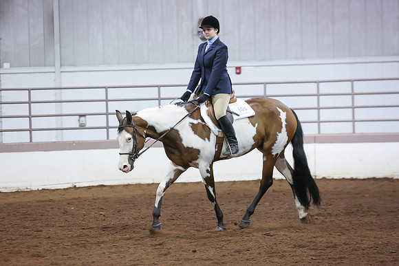www.ngaphoto.com 2015 Georgia Federation of Saddle Clubs Championship Horse Show