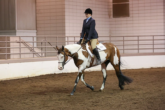 www.ngaphoto.com 2015 Georgia Federation of Saddle Clubs Championship Horse Show