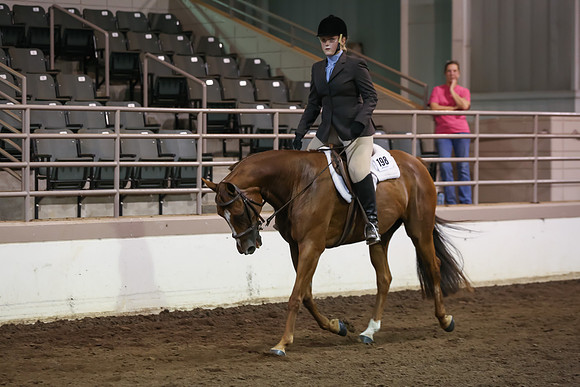 www.ngaphoto.com 2015 Georgia Federation of Saddle Clubs Championship Horse Show