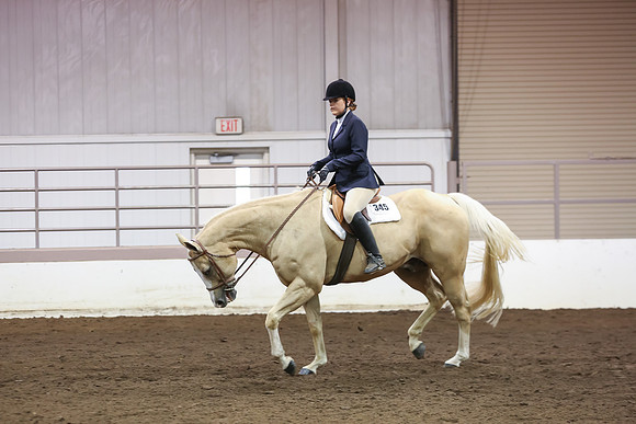 www.ngaphoto.com 2015 Georgia Federation of Saddle Clubs Championship Horse Show