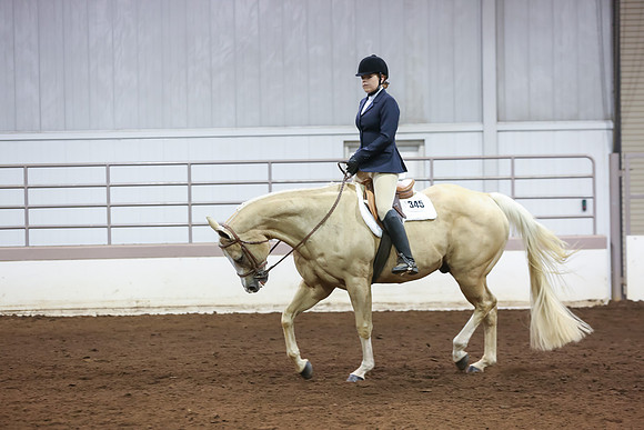 www.ngaphoto.com 2015 Georgia Federation of Saddle Clubs Championship Horse Show
