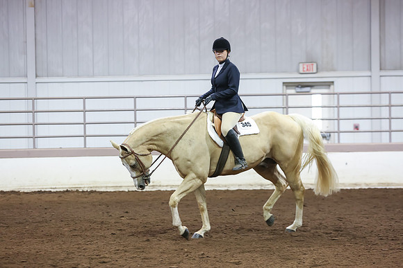 www.ngaphoto.com 2015 Georgia Federation of Saddle Clubs Championship Horse Show