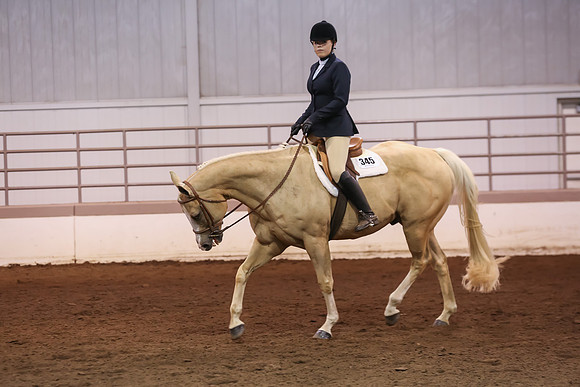 www.ngaphoto.com 2015 Georgia Federation of Saddle Clubs Championship Horse Show
