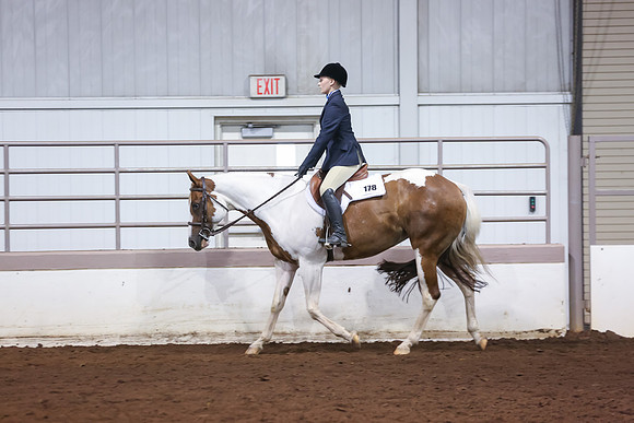 www.ngaphoto.com 2015 Georgia Federation of Saddle Clubs Championship Horse Show