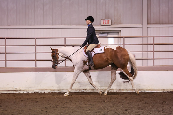 www.ngaphoto.com 2015 Georgia Federation of Saddle Clubs Championship Horse Show